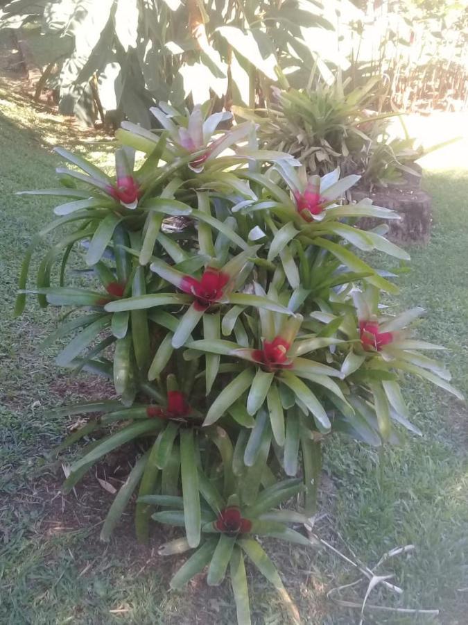 Santa Anna Ecohouse Penedo (Rio de Janeiro)